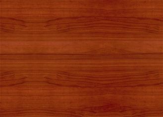 Douane Gevormde Gevoelde de Studio Akoestische Comités van de Bladen UVdruk 600mm * 600mm