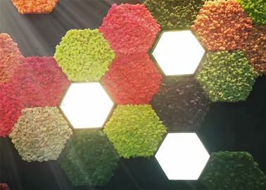 3d Akoestische de Muurcomités van het aardmos voor het Bewijs van de de Decoratieschimmel van de Muren Groene Installatie