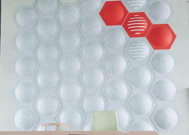 600mm*600mm 3d Muur het Behandelen Comités