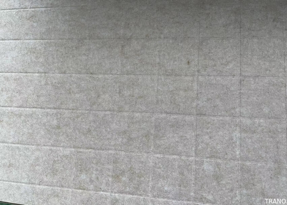 B vlak Gerecycleerde Materiële Vermaak Gerecycleerde Gevoelde Muurcomités